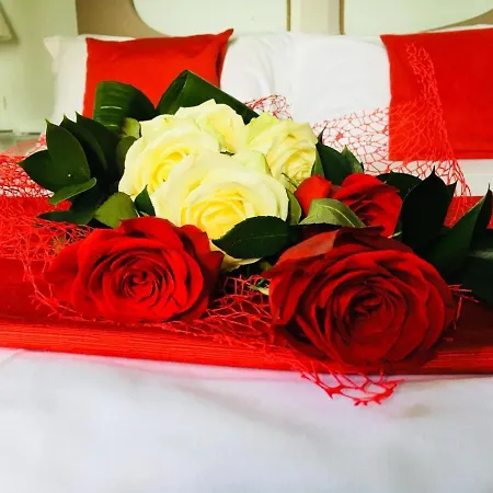 Alta Bed & Breakfast San Giuliano Terme